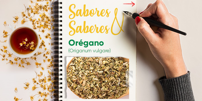 Sabores e saberes - Oregano 1